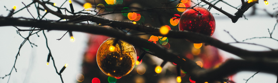 Weihnachtspause in der CBS Geschäftsstelle (Foto: unsplash.com/Daria Shatova)